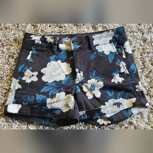 American Eagle Outfitters Floral Embroidered Shorts